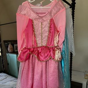 Sleeping Beauty dress up dress